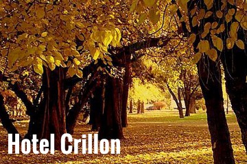 crillon-vejpg