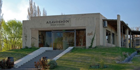Caminos del Vino en San Rafael: Bodega Algodon