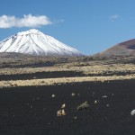Las tierras volcánicas de la Payunia