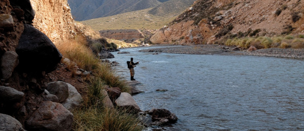 Circuitos de pesca: río Mendoza