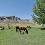 Excursiones desde Malargüe: Castillos de Pincheira