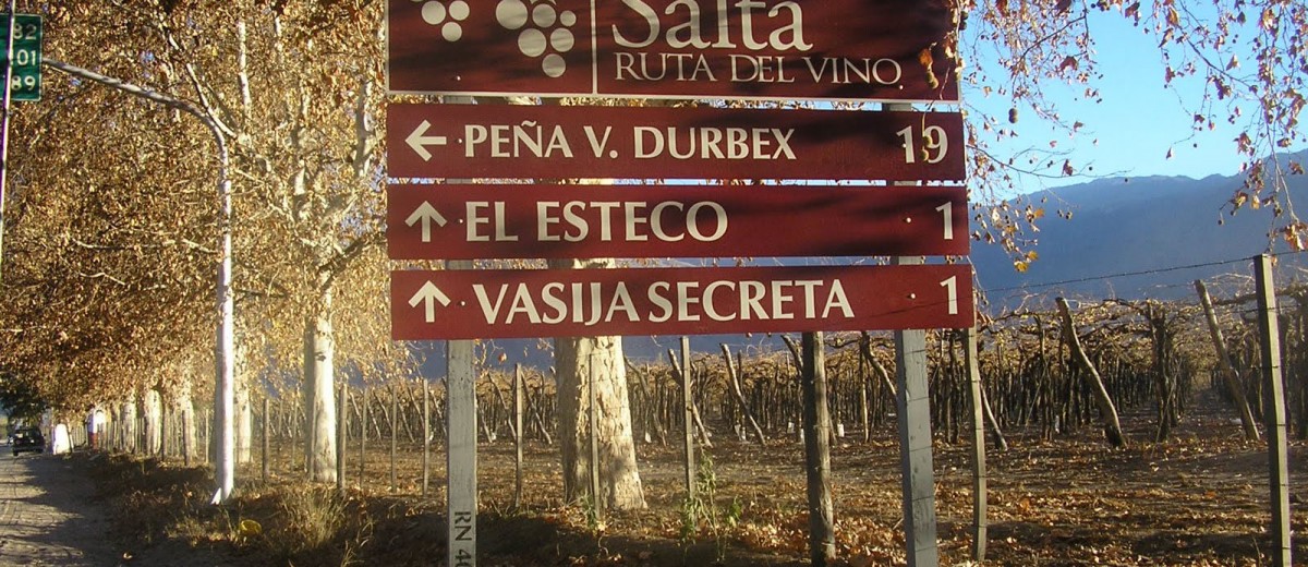 Caminos del vino en Argentina: Salta