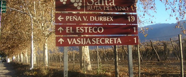 Caminos del vino en Argentina: Salta