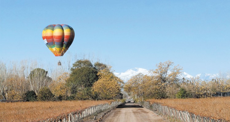 Aerodeportes: sobrevolando viñedos
