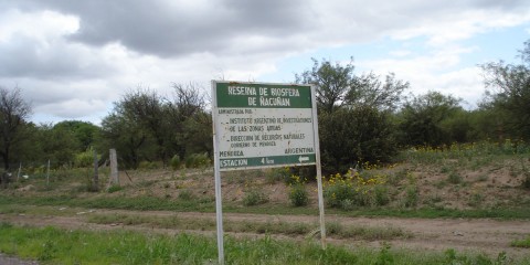 Reserva de Ñacuñán