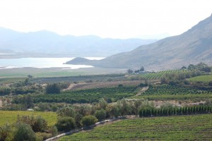 Valle del Limarí
