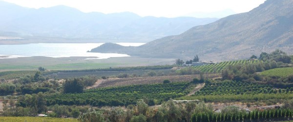 Valle del Limarí