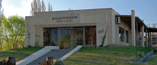 Caminos del Vino en San Rafael: Bodega Algodon