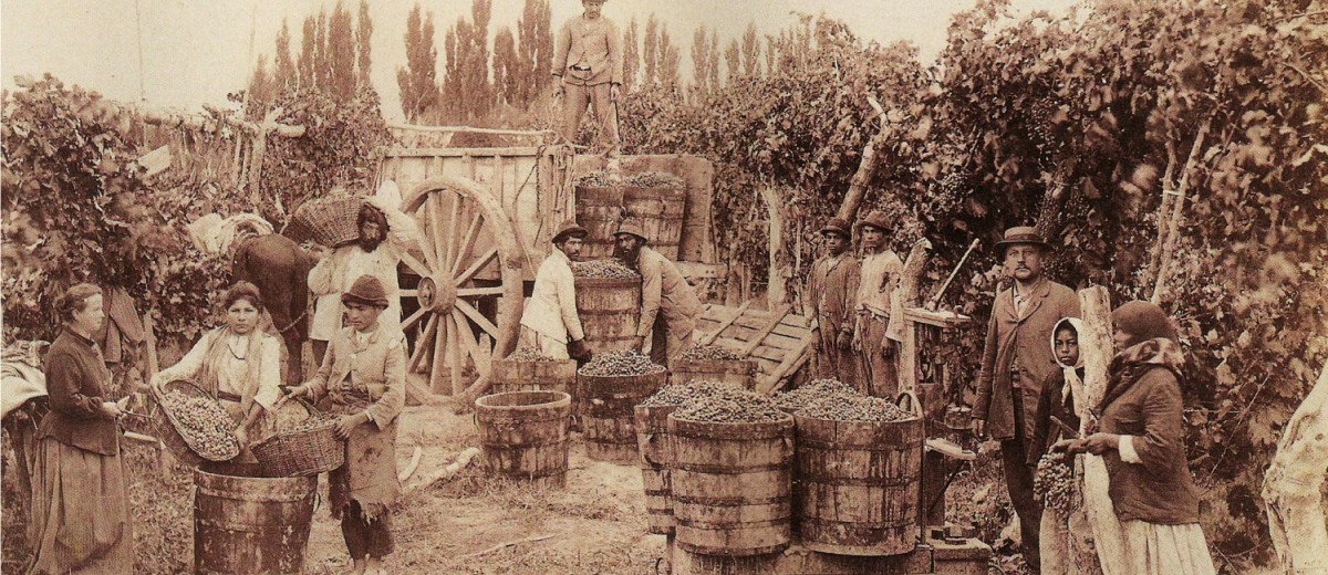 Historia de la Vitivinicultura en Mendoza