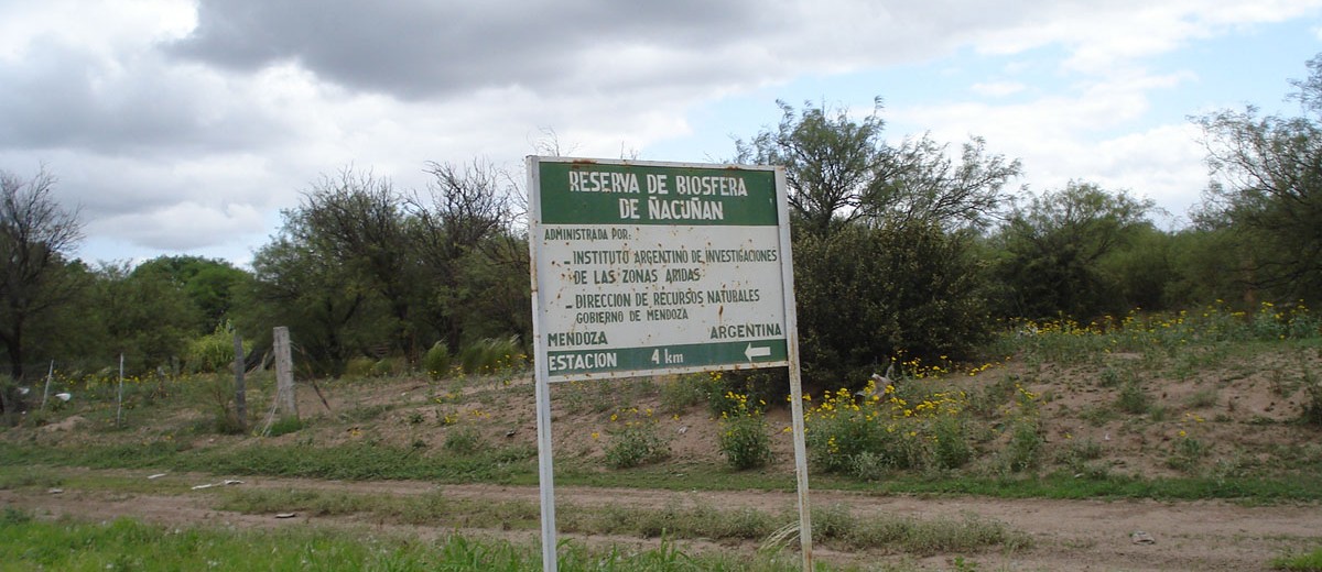 Reserva de Biosfera de Ñacuñan