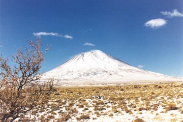 Reserva La Payunia