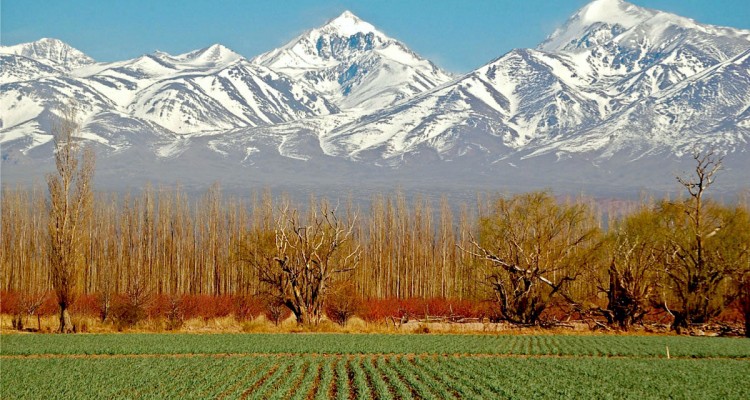 otoño en Mendoza