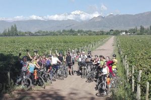 Caminos del Vino en bicicleta