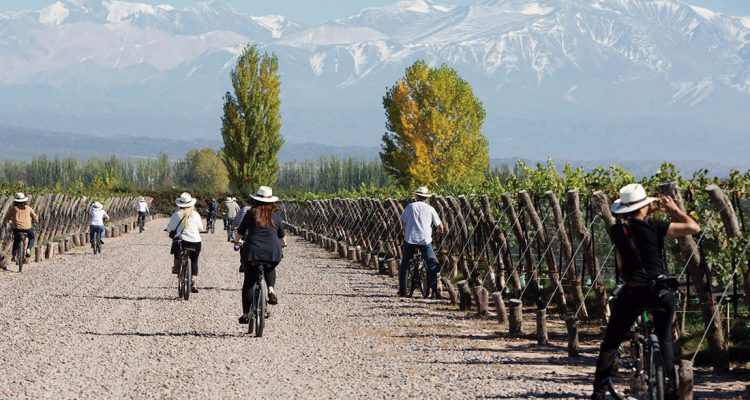 En bici por los viñedos de Mendoza